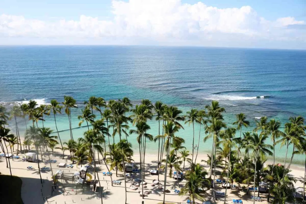 Aruba Taste of Jamaica