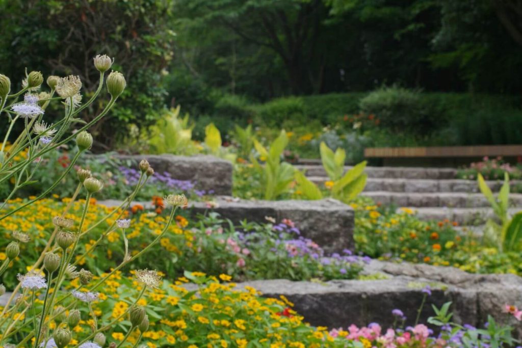 Expert tips in creating predominantly color green, nature inspiration landscaping 