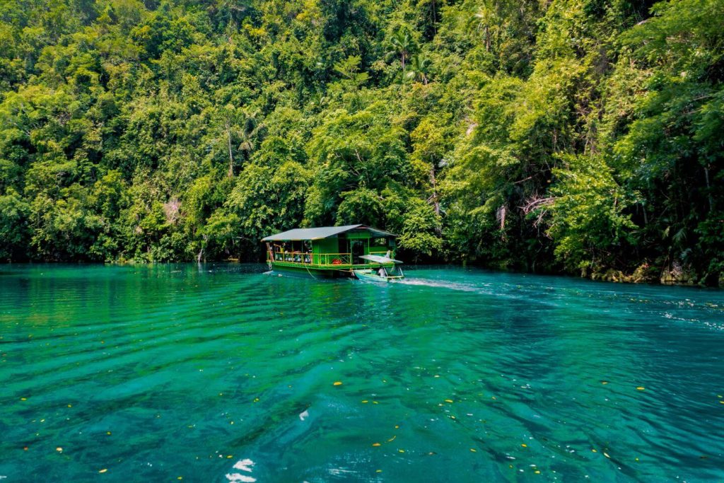 Nature's paradise that promise healing and wellness.