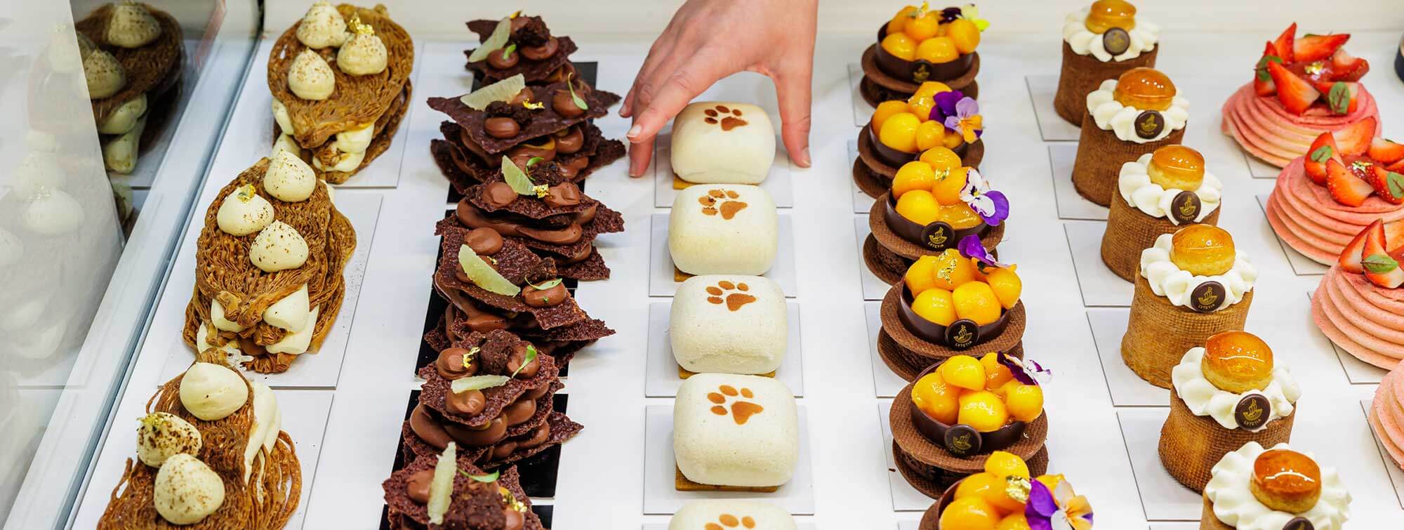 Exhibition Salon du Chocolat Paris